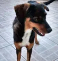 Bela