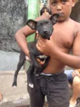 Pequena Pretinha