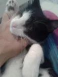 MAGOO