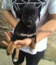 sem nome 