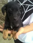sem nome 