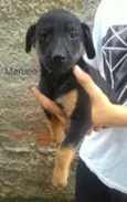 sem nome 