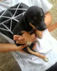 sem nome 
