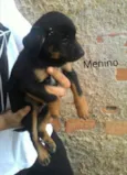 sem nome 