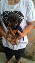 sem nome 
