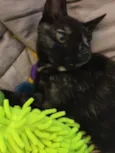 Mel