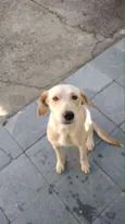Sophia