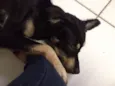 Desconhecido
