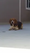 Kiko