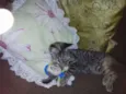 Cindy e Mel