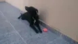 Zeus