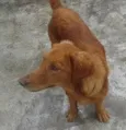 Billy