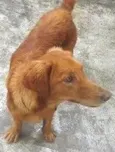 Billy
