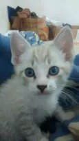 Zeus