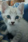 Zeus
