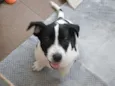 Snoop