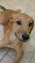Cinderela