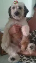 MENINA