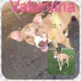 Valentina