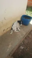 Não tem nome