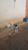 Não tem nome