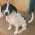 Não tem nome