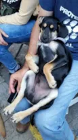 Marley