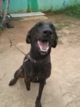 Pelé