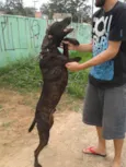 Pelé