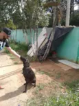 Pelé