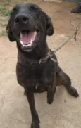 Pelé