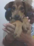 Sem nome