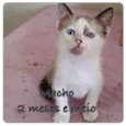 Sem nome