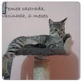 Sem nome