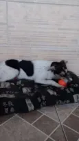 Meg