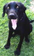 PRETINHA