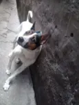 Fred