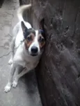 Fred