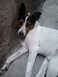 Fred