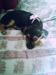 Lili
