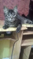 Fantasma