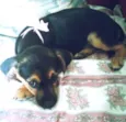 Lili