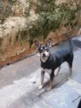 preta