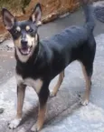 preta