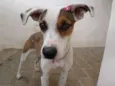 Luana