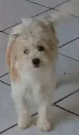 Mel