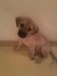 MIUDA