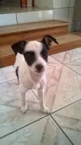 Lila