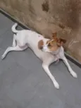 Princesa