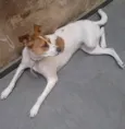 Princesa